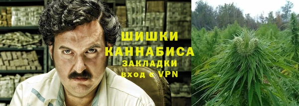 сатива Баксан