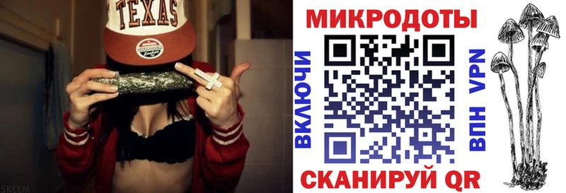 Псилоцибиновые грибы Cubensis  Болотное 